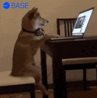 Base Base Meme GIF