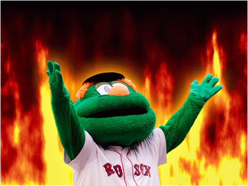Baseball Red Sox GIF