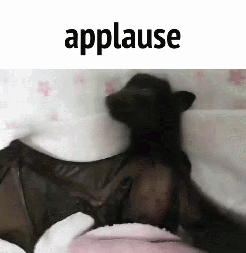 Bat Applause GIF