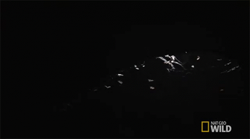 Bat Cave The Bat Gauntlet GIF