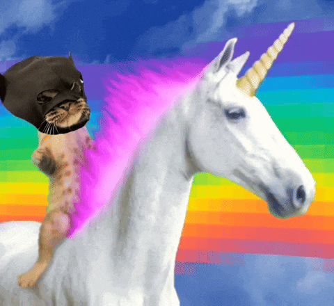 Batcat Batman GIF