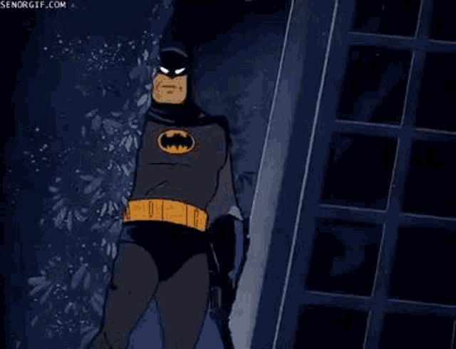 Batman Approval GIF