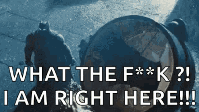 Batman Batman V Superman GIF