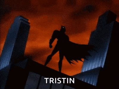 Batman Brucewayne GIF