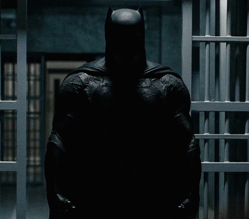 Batman Bvs GIF