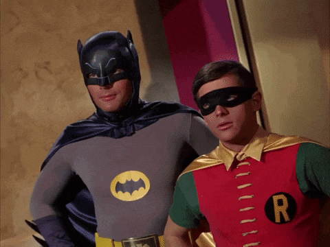 Batman Catwoman GIF