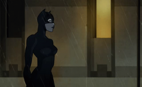 Batman Catwoman GIF