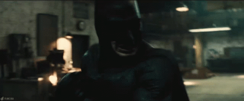 Batman Fights GIF