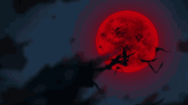 Bats Flying GIF