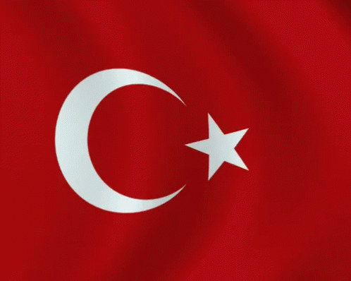 Bayrak Türk Bayrağı GIF