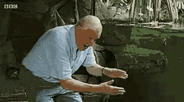 Bbc Guy Big Schlong GIF