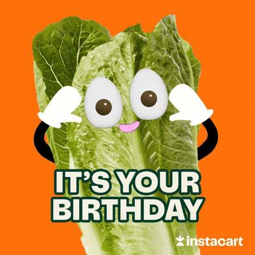 Bday Birthday GIF