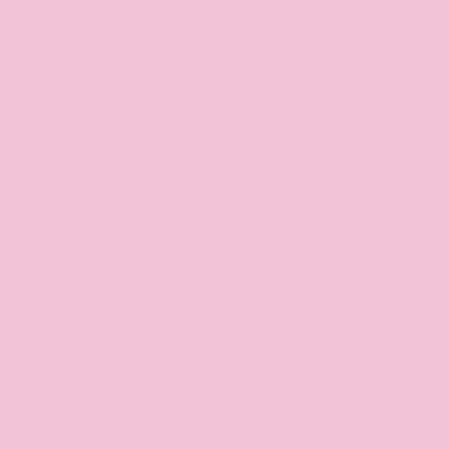 Bday Birthday GIF