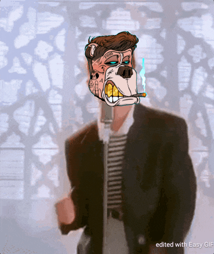 Bdco Baddogs GIF