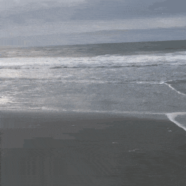 Beach Beach Background GIF