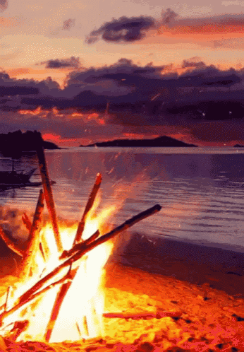 Beach Bonfire Bon Fire Night GIF