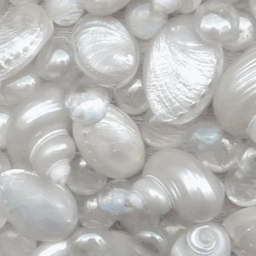 Beach Gif Aesthetic GIF