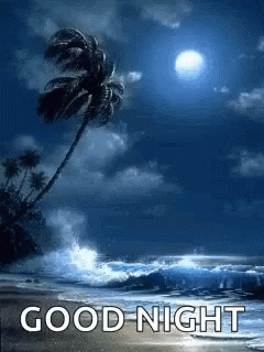 Beach Good Night GIF