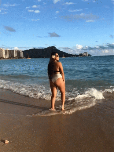 Beach Hawaii GIF