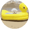 Beach Summer Vibes Sticker