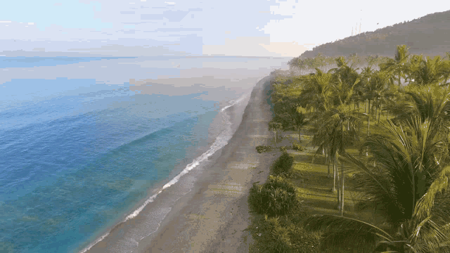 Beach Wave GIF