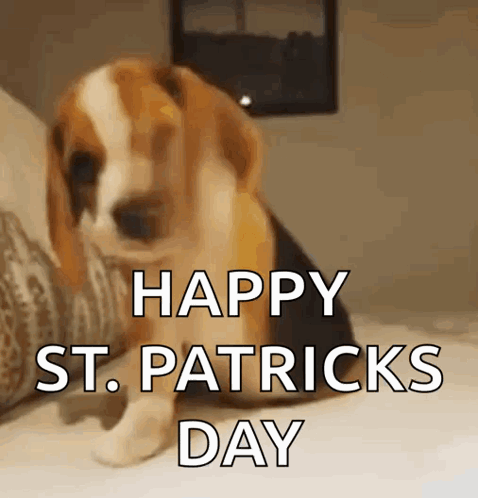 Beagle GIF. This 478 x 498 animated GIF is part of our happy birthday puppy collection. Created by kristielmitchell. View the original animation, share it…