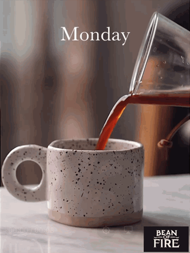 Bean Of Fire Bitcoin Coffee GIF
