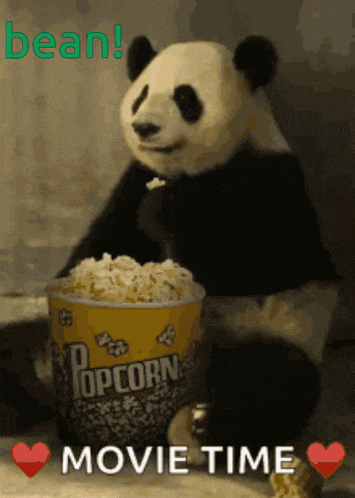 Bean72 Chris72 GIF