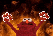 Beans Elmofire GIF