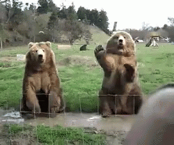 Bear Bye GIF. This 250 x 208 animated GIF is part of our bear waving collection. Related themes include bear, bye, cute. View the original animation, share…