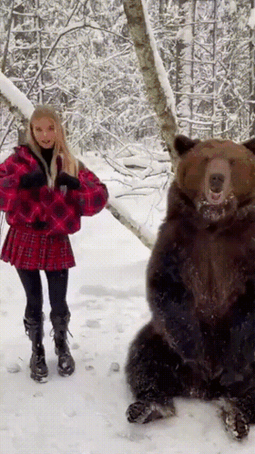 Bear Dance GIF