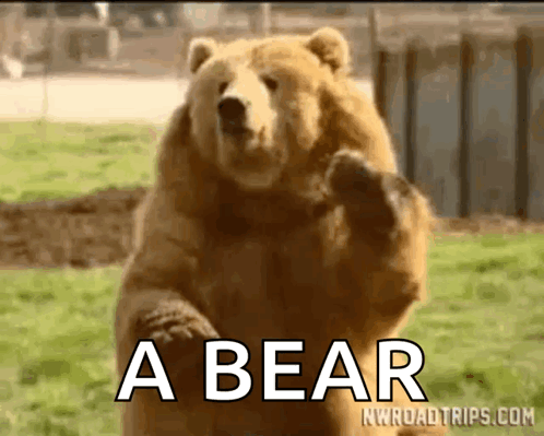 Bear GIF. This 498 x 399 animated GIF is part of our bear waving collection. Related themes include bear. Created by FabulousM. View the original animation…