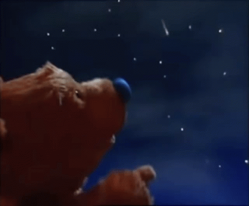 Bear In The Big Blue House Ojo GIF