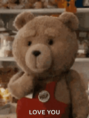 Bear Ted GIF