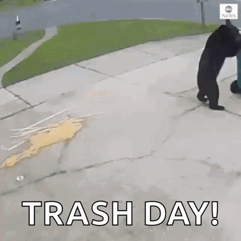Bear Trash GIF. This 498 x 498 animated GIF is part of our taking out the trash collection. Related themes include animal, bear, hungry. Created by…