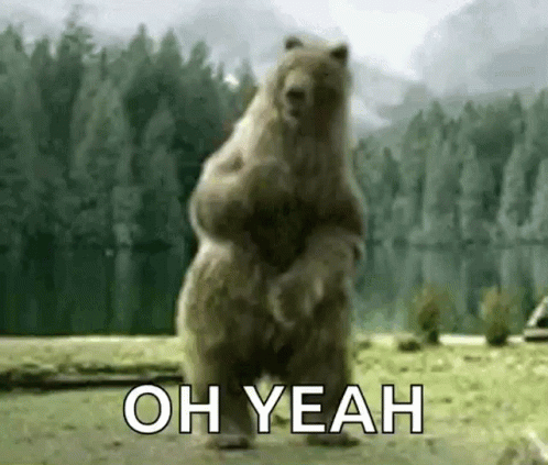 Bear Vodka Dance GIF