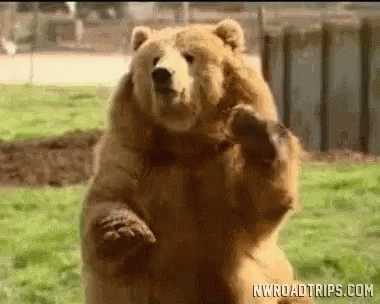Bear Waving Hi GIF. This 380 x 304 animated GIF is part of our bear waving collection. Related themes include cute. Created by bearcrvr. View the original…