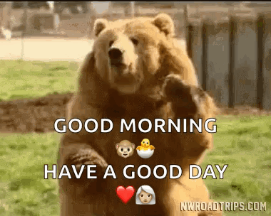 Bear Waving Hi GIF. This 380 x 304 animated GIF is part of our bear waving collection. Related themes include cute. Created by tjackson052602. View the…