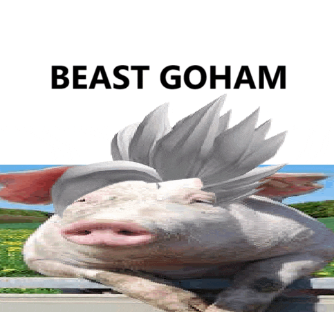 Beast Gohan Dbz Meme