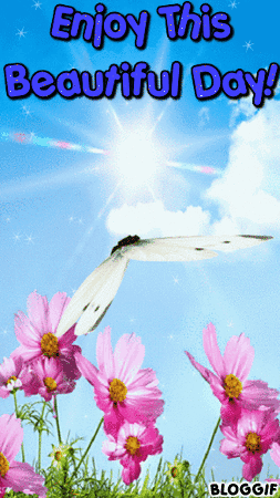 Beautiful Day GIF