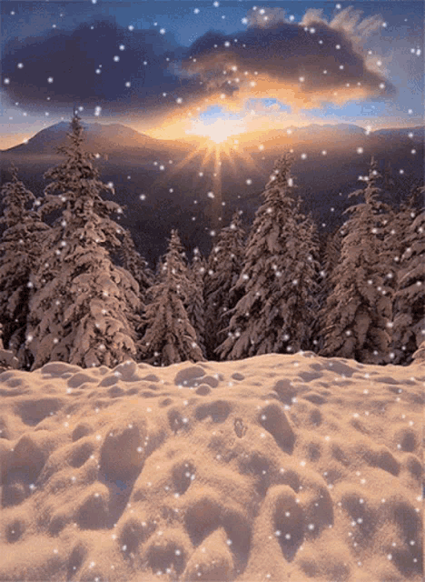 Beautiful Day GIF