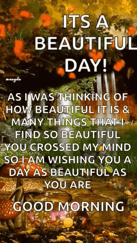 Beautiful Day Waterfalls GIF
