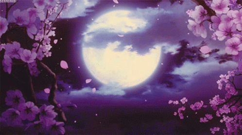 Beautiful Night GIF