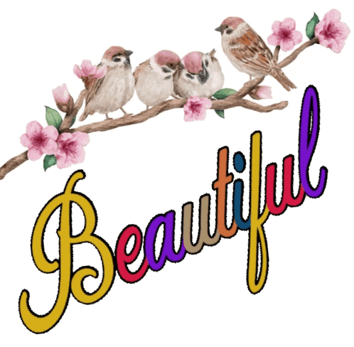 Beautiful So Beautiful GIF