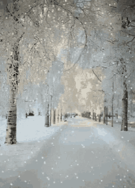 Beautiful Winter GIF