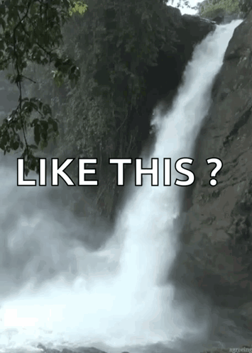 Beauty Aww GIF