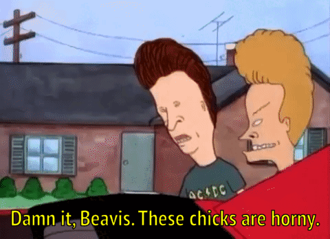 Beavis And Butthead Damn It GIF