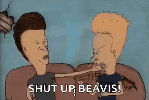 Beavis Butthead GIF