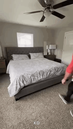 Bed Daniel Labelle GIF
