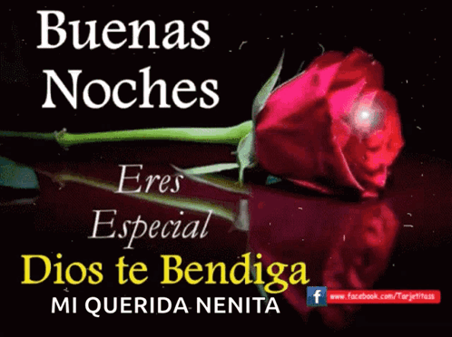 Bedtime Buenas Noches GIF